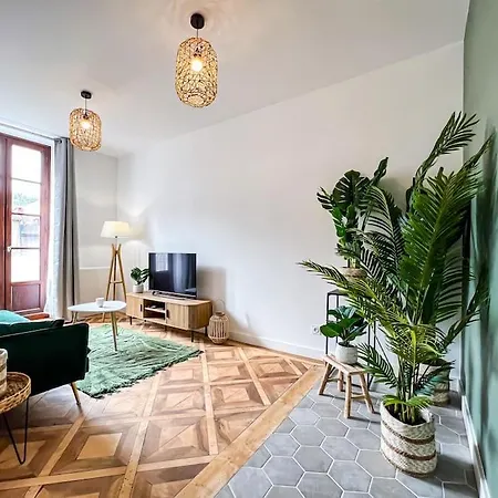 Apartment Hyper-centre De Grenoble, Ambiance Tropicale, Wifi Fibre