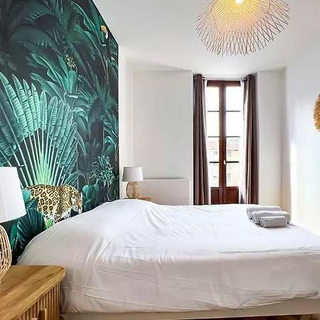 Hyper-centre De Grenoble, Ambiance Tropicale, Wifi Fibre Apartment Grenoble
