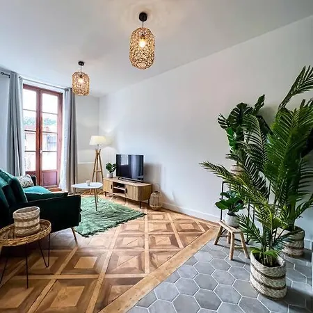 Hyper-centre De Grenoble, Ambiance Tropicale, Wifi Fibre Apartment *